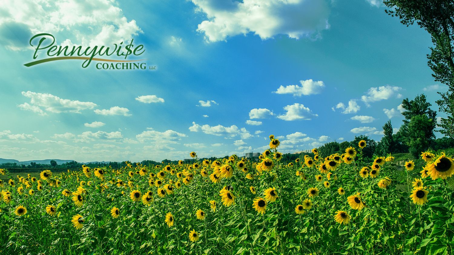 Summer Spending Without Regret